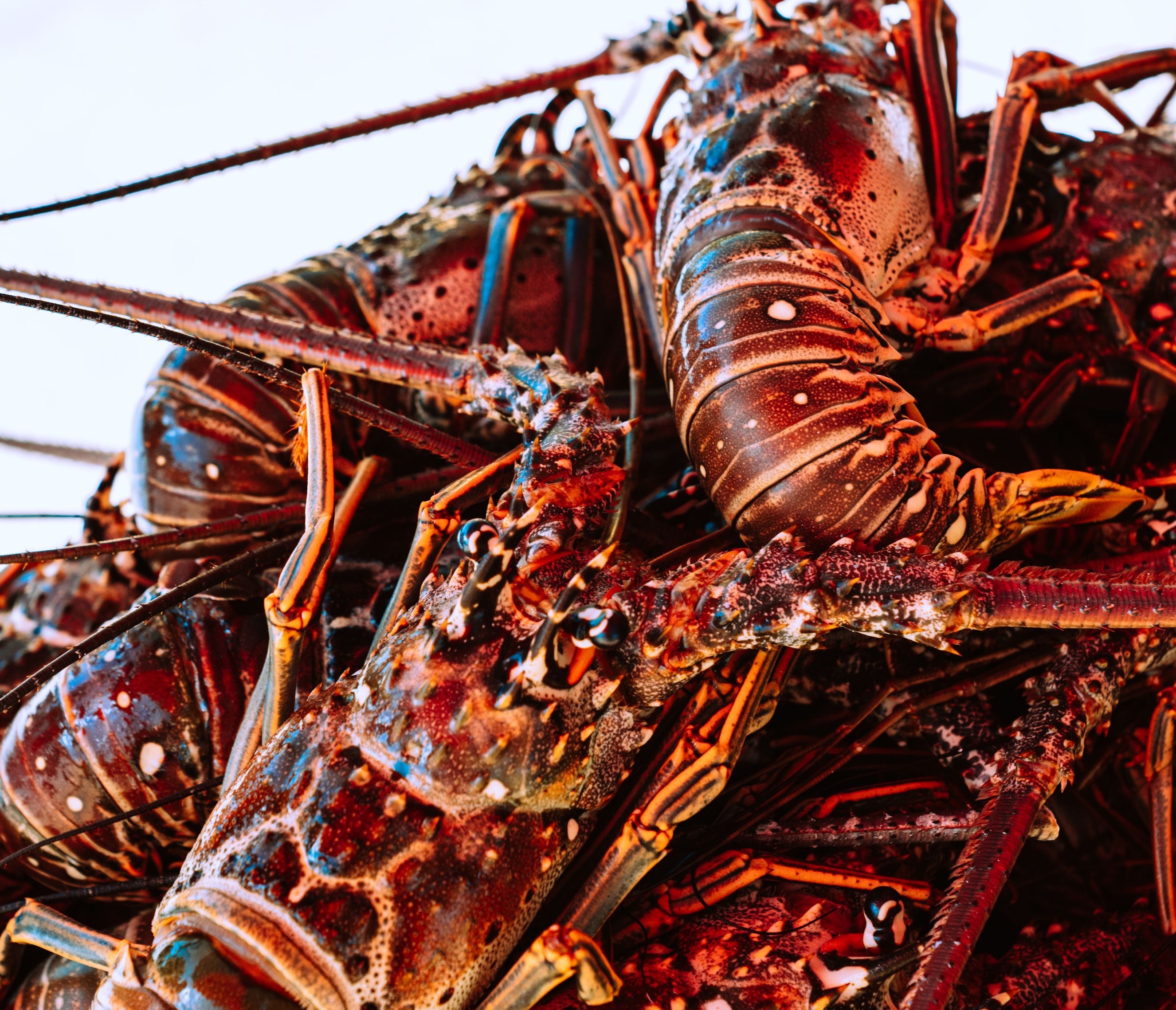 11 Incredible Dining Spots to Consider for Mother's Day